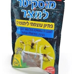 חצר 1