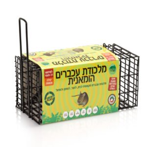 עכברים 123